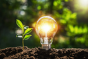 EP’s Remanufactured Forklift Revolution: A Step Toward Sustainability